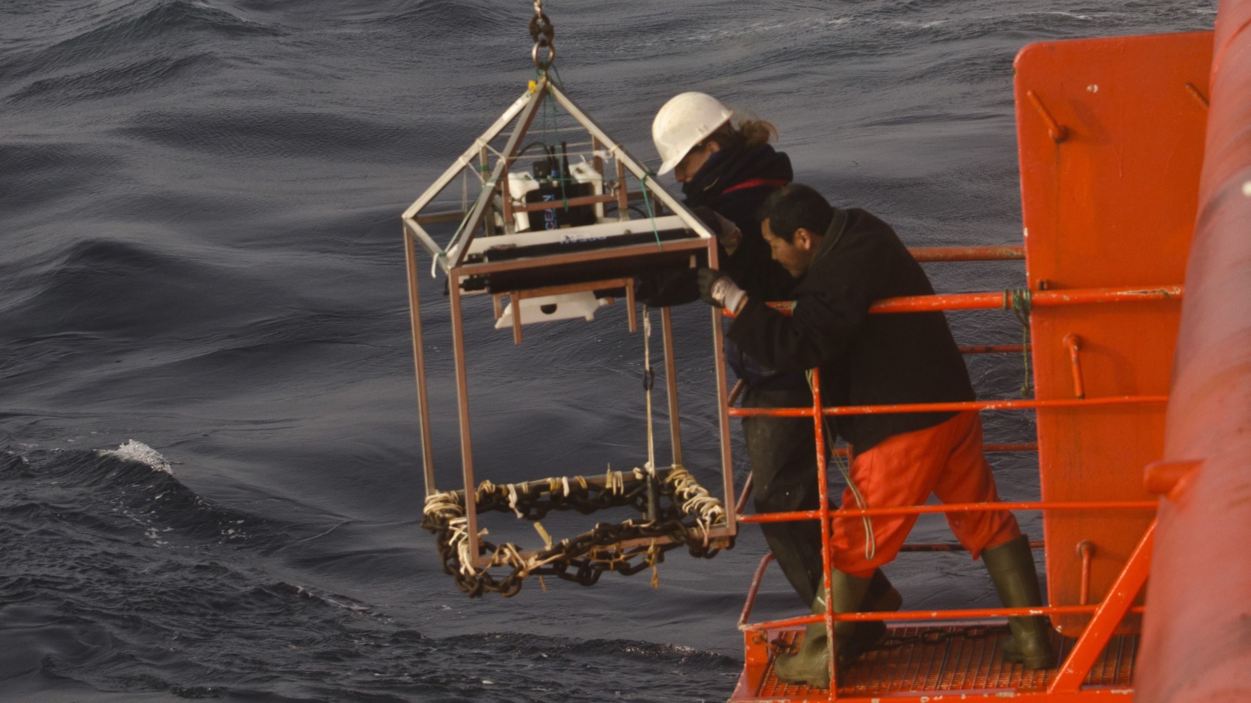 Forskere fra ZSL sænker et dybhavskamera ned langs siden af forskningsskibet.